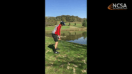 Video of November 2016