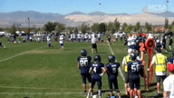 Video of 2017 Highlights