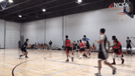 Video of 2019 Highlights