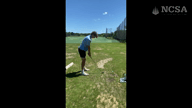 Video of July 2024 
