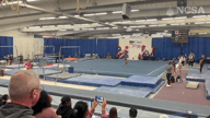 Video of 2024 Highlights