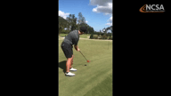 Video of January 2019