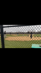 Video of 2022 Spotlight
