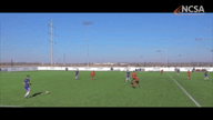 Video of 2020 Highlights