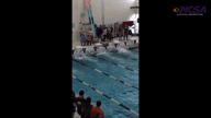 Video of January 2015