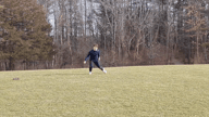 Video of 2024 Highlights 