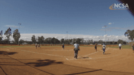 Video of 2018 Highlights