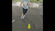 Video of 2021 Spotlight