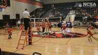 Video of 2023 Highlights #2
