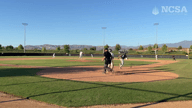 Video of 2024 Highlights #2