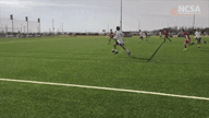 Video of 2019 Highlights
