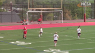 Video of 2020 Highlights