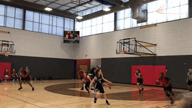 Video of 2019 Highlights