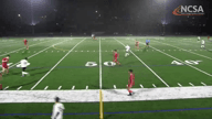 Video of 2020 Highlights