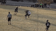 Video of 2020 Highlights