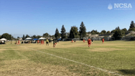 Video of 2023 Highlights	