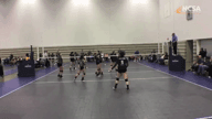 Video of 2018 Highlights