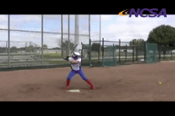 Video of January 2014