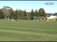 Video of 2013 Highlights