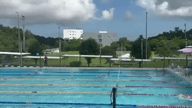 Video of 2024 Spotlight