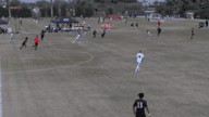 Video of MLS Fest Highlights - December 2022