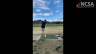Video of March 2020