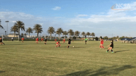 Video of 2021 Highlights