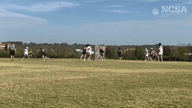 Video of 2024 Highlights