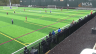 Video of 2020 Highlights	