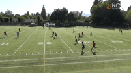 Video of 2020 Highlights	