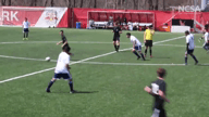 Video of 2019 Highlights