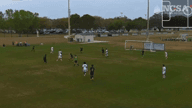 Video of 2024 Highlights