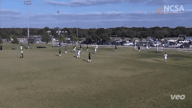 Video of 2020 Highlights	