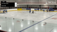 Video of 2024 Highlights