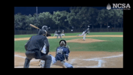 Video of 2024 Highlights