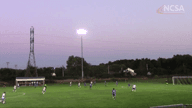 Video of 2020 Highlights
