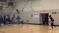 Video of 2022 Spotlight