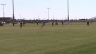 Video of 2020 Spotlight