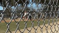 Video of 2024 Spotlight #2