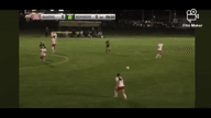 Video of 2024 Spotlight #3