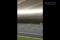 Video of July 2014