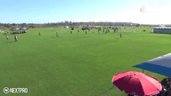 Video of 2020 Highlights