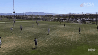 Video of 2021 Highlights