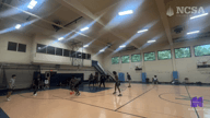 Video of 2024 Highlights