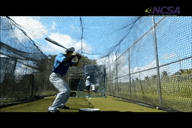Video of November 2013
