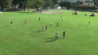 Video of 2019 Highlights