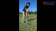 Video of September 2016