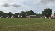 Video of 2020 Highlights