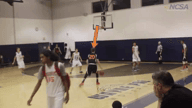 Video of 2015 Highlights