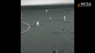 Video of 2019 Highlights